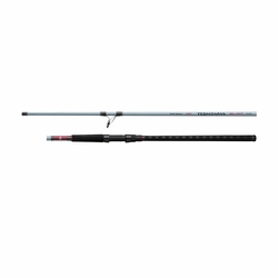 Daiwa Team Daiwa Surf Spinning Rods