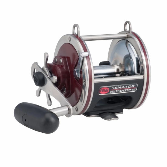 Penn Special Senator 113H2SP Star Drag Reel