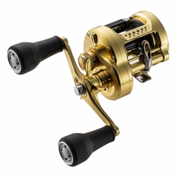 shimano-calcutta-conquest-md-