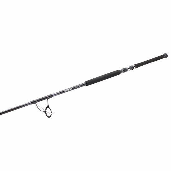 Shimano Ocea Plugger Big Game OPBGS70XXXHA Spinning Reel