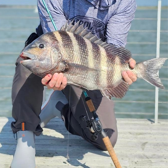 Asic Rod St. Croix 2024 Avid Inshore ASIC70MF Casting Rod - St. Croix 2024 Avid ...