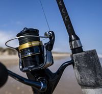 ef5000 fishing reel YOMORES EF Series Gold Spinning 12 BB Whole Metal Line Cup ( EF5000), Spinning Reels even in wet conditions 2 x Daiwa Emblem Specifications_specs001:6'0