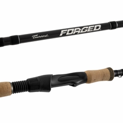 tsunami-forged-inshore-