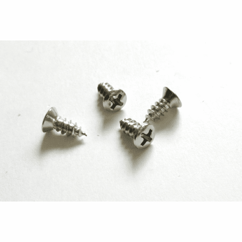 1965-66 Mustang Pony Interior Door Courtesy Light Screws