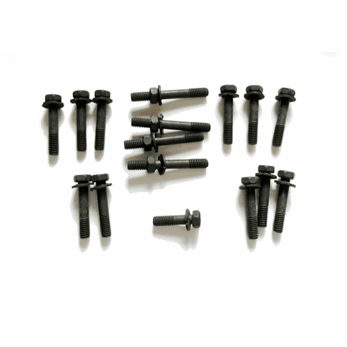 1969-70 BOSS 302 Manifold Bolt Kit