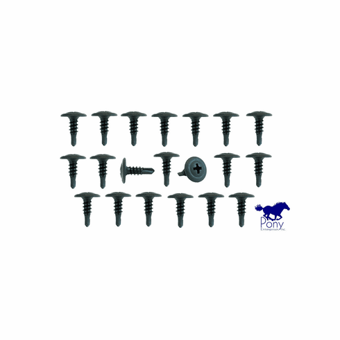 1969 Mustang Coupe & Fastback Roof Rail Channel Screws