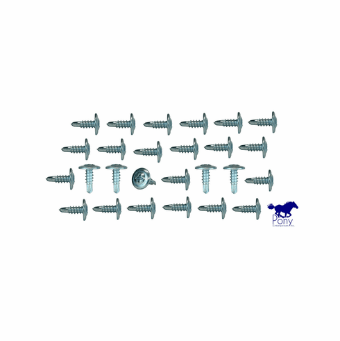 1970 Mustang Coupe & Fastback Roof Rail Channel Screws