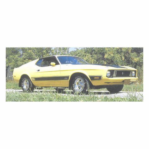 1973 MACH1 Body Stripe Kit (SILVER)