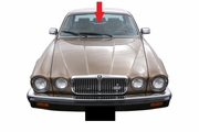 Front Windshield Glass Jaguar XJ6 4 Door Sedan 1979-1987