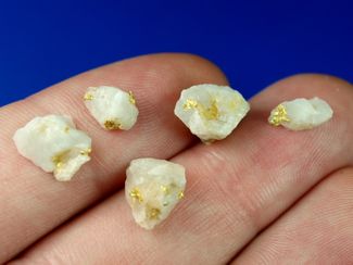 2.18 Gram Gold Quartz Specimens (SOLD)