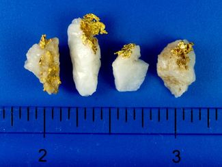 2.35 Gram California Gold in Quartz (SOLD)