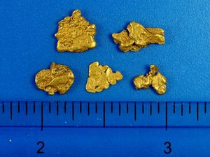 2.47 Gram Oregon Gold Nuggets (SOLD)