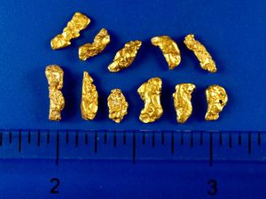 2.75 Gram California Gold Nuggets (SOLD)