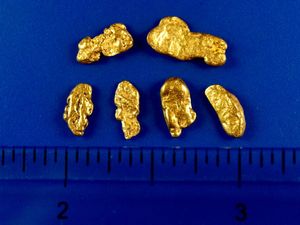 2.99 Gram California Gold Nuggets (SOLD)