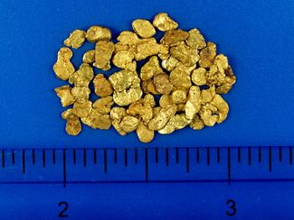 3.01 Gram Alaskan Placer Gold (SOLD)