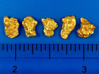 3.02 Gram Oregon Gold Nuggets (SOLD)