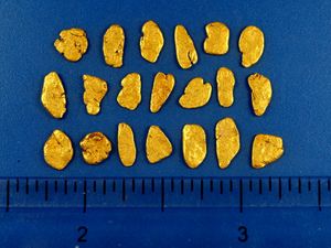 3.32 Gram Alaska Gold Nuggets (SOLD)