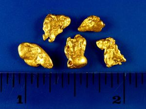 4.30 Gram California Gold Nuggets (SOLD)