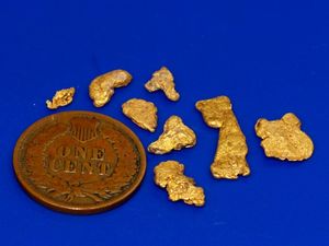 4.48 Gram Arizona Gold Nuggets (SOLD)