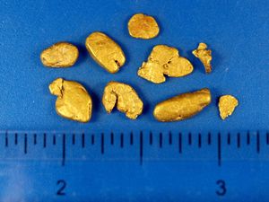 4.83 Gram Alaska Gold Nuggets (SOLD)