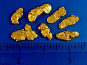 4.96 Gram Alaskan Gold  Nuggets (SOLD)