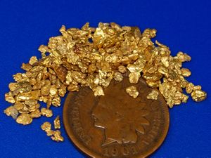 5.00 Gram California Placer Gold (SOLD)