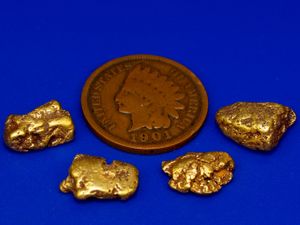 6.62 Gram Alaska Gold Nuggets (SOLD)