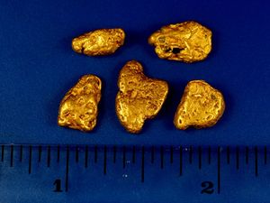 7.45 Gram Alaska Gold Nuggets (SOLD)