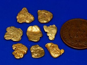 7.52 Gram Alaska Gold Nuggets (SOLD)