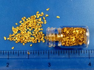 7.78 Gram Alaska Gold Nuggets (SOLD)