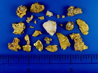 7.83 Gram Small Nuggets and Specimens (SOLD)