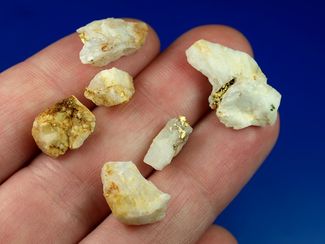 7.95 Gram Oregon Gold in Quartz (SOLD)