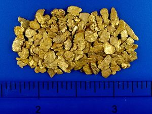 8.00 Gram California Gold Nuggets (SOLD)