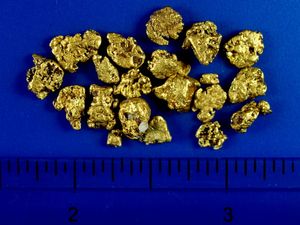 8.80 Gram Alaskan Gold Nuggets (SOLD)