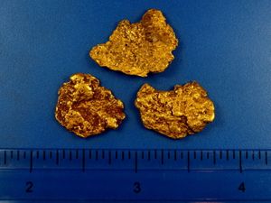 8.88 Gram Alaska Gold Nuggets (SOLD)