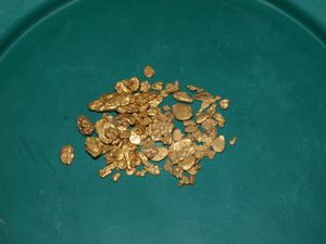 Gold Panning in Fairplay, Colorado