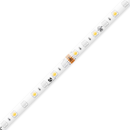 American Lighting Trulux RGBW IP54 LED Tape Light 16.4ft