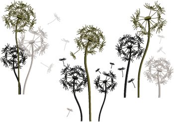 Globular Dandelion Set for 5"x7" & 6"x10"