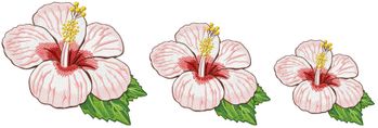 Hibiscus 2 for 5"x7", 6"x10" & 8"x8"