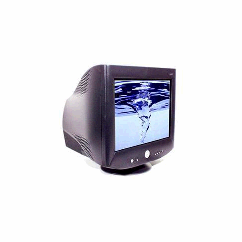 DELL 19" CRT COLOR MONITOR p/n 4N736