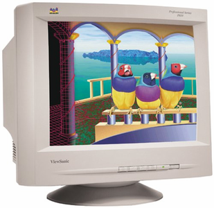 ViewSonic 21" CRT Monitor p/n P810