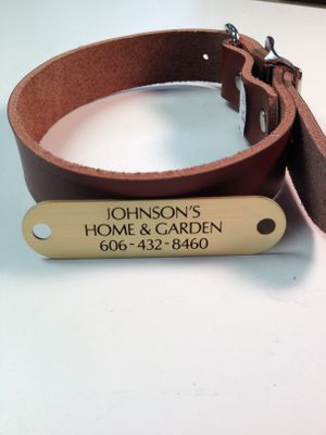 1" Leather Dog Collar With Laser Engraved Nameplate