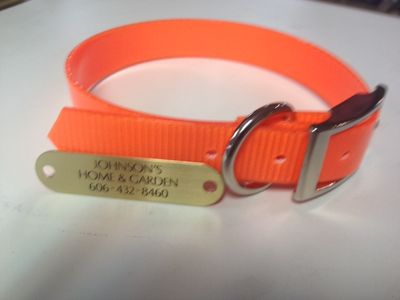 1" Plastic Coated Nylon Orange Dog Collar with Brass Laser Engraved Nameplate