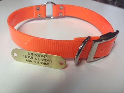 1" Plastic Coated Nylon Orange Safety Dog Collar With Brass Laser Engraved Plate -