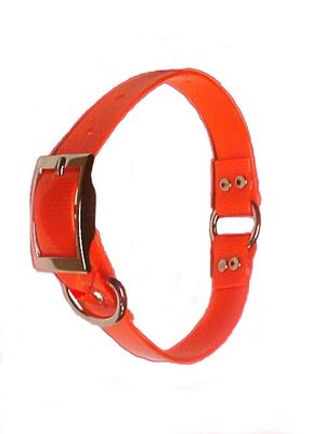 1" Safety Plastic Coated Nylon Dog Collar