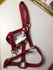 2-Ply 3/4" Nylon Weanling Halter Made In USA 