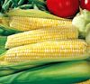 Ambrosia Hyribid Bicolor Sweet Corn One Pound