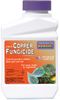 Bonide Organic Liquid Copper Fungicide Conc 16 oz Roses Fruits and Veggies