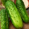 Boston Pickling Cucumber seeds
