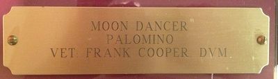 Brass Engraved Stall Plate